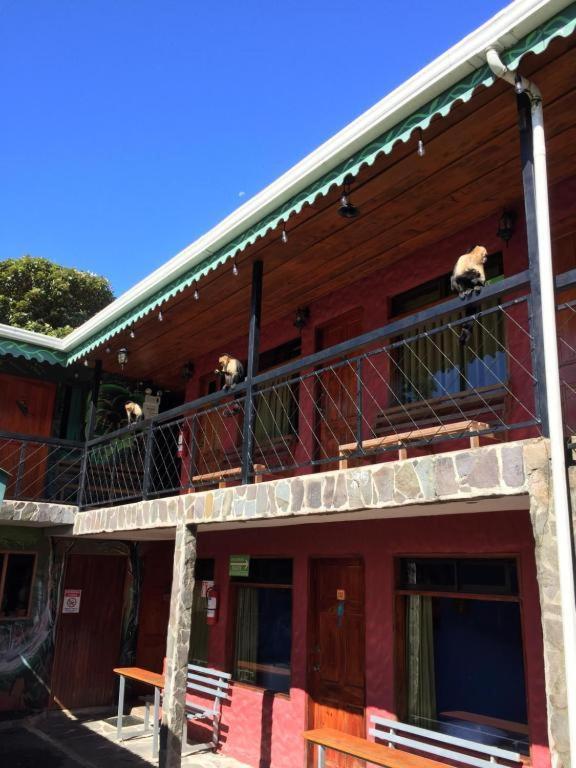 Manakin Lodge, Monteverde Cr Экстерьер фото